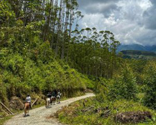 Colombia-Coffee Zone-Mountains and Waterfalls in Colombia